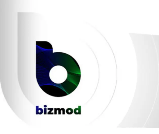 Bizmod Bizmod - отзывы