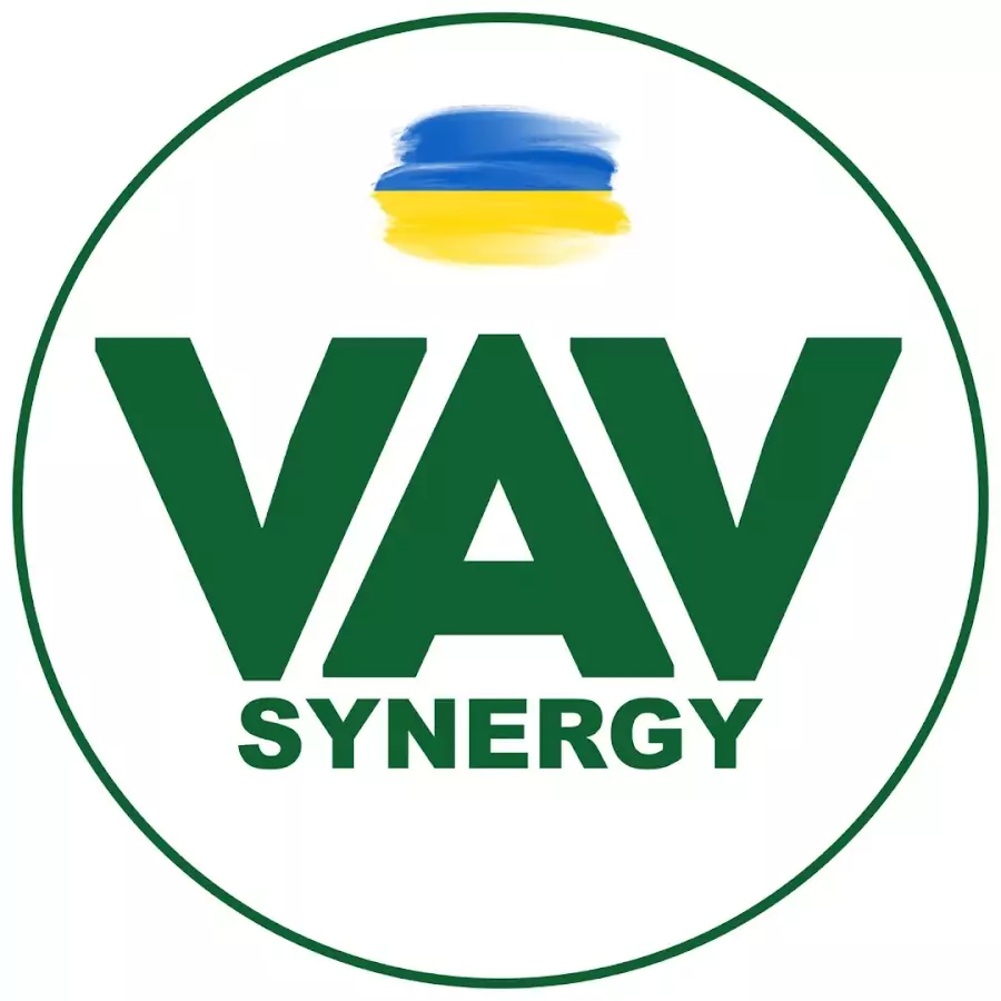 VAV Synergy логотип